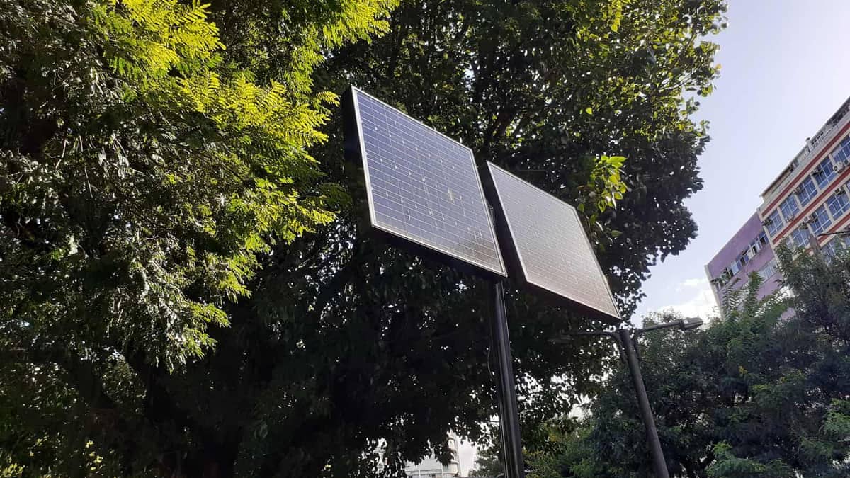 Painéis solares em estrutura metálica, cercados de árvores
