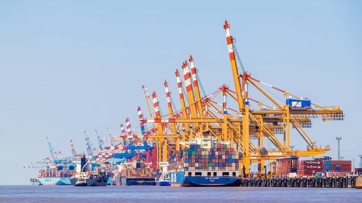 Guindastes e contêineres em terminal portuário ao entardecer. Imagem ilustrativa de terminal de contêineres, não é de porto catarinense.